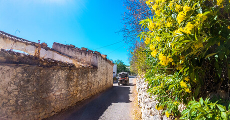 European Buggy Tour © ANDREW NORRIS