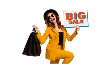 Composite artwork sketch image collage of black friday sale promotion discount placard sell young lady style suit eyewear hat arm hold bag