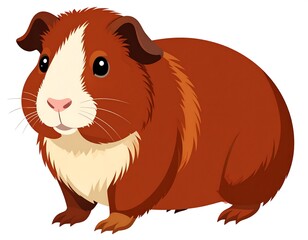 Fototapeta premium Cartoon illustration of a brown and white guinea pig on a white background, a pet