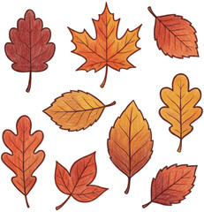Fototapeta premium Autumn Leaves Hand Drawn Illustration Set Colored Pencil Leaf Collection Clipart Set Cozy Warm Fall Leaf brown tone Sticker Pack