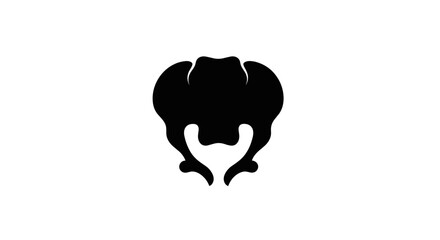 Obraz premium Minimalist black silhouette of a human pelvis bone.