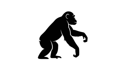 Obraz premium Silhouette of a chimpanzee in a side view black animal.