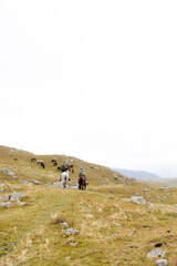 Obraz premium Kazakh Cowboy Riding Across the Steppes, Traditional Horsemen in Central Asian Landscape