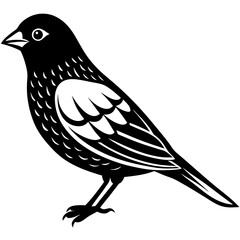 Fototapeta premium Canary Vector Illustration – Bright Yellow Bird Graphic Design for Digital Use