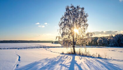A sunny winter landscape. A solitary tree stands in a snow-covered field, casting a long shadow. Sunlight streams through the tree's branches