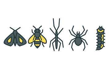 Collection of common insects and arthropods: moth, bee, stick bug, spider, and caterpillar