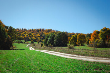 road in a forest. autumn landscape