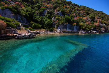 Fototapete bei efototapeten.de bestellen   