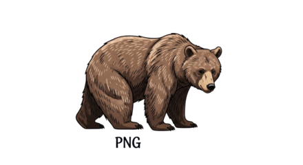 Realistic detailed hand drawn brown bear illustration for outdoor and wildlife conservation designs isolated PNG with Transparent Background