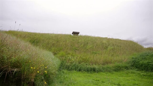 Traditional Viking House Blending with Landscape