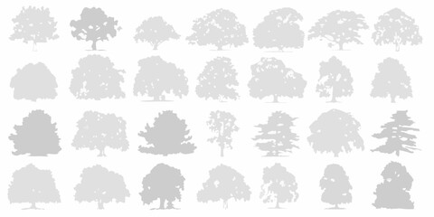 Collection of diverse tree silhouettes in various shapes and sizes against a white background
