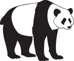 panda bear vector illustration