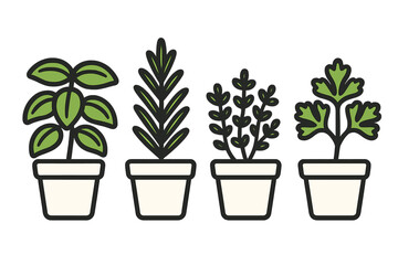 Row of four fresh potted culinary herbs including basil, rosemary, thyme, and parsley