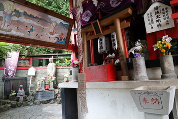 A Japanese shrine: a scene of the precincts of Kumamotojyo-Inarijinjya  Shrine in Kumamoto City in Kumamoto Prefecture in Kyushu