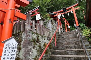 A Japanese shrine: a scene of the precincts of Kumamotojyo-Inarijinjya  Shrine in Kumamoto City in Kumamoto Prefecture in Kyushu