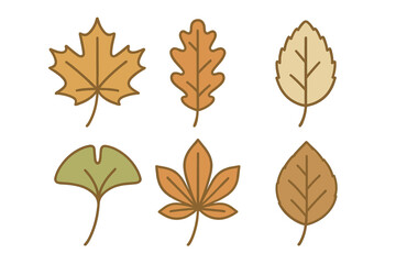 Set of six stylized autumn tree leaves in warm fall colors, isolated on white
