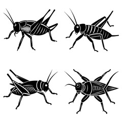 Four black and white silhouette illustrations of crickets in various positions on a white background