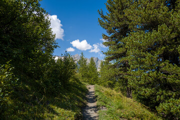 This landscape photo was taken in Europe, France, Aosta Valley, in summer. It shows the path in the...