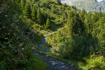 This landscape photo was taken in Europe, France, Aosta Valley, in summer. It shows the path in the...