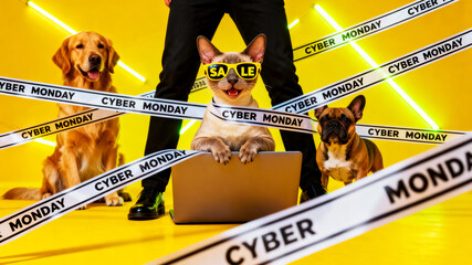 Funny happy pets next to a laptop standing at a person's feet, bright yellow background with ribbons bearing the words Cyber Monday, advertisement for seasonal sales