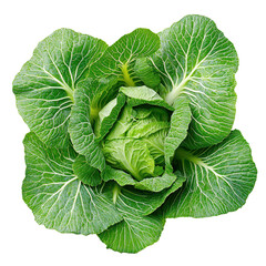 Obraz premium Fresh Green Cabbage: A close-up shot of a fresh, vibrant green cabbage with intricate textures and patterns, perfect for culinary and health-related projects.