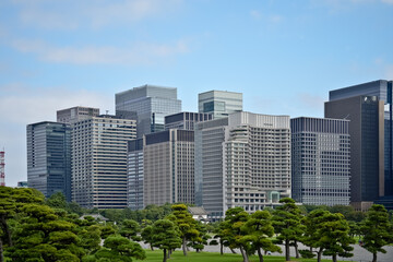 Fototapeta premium Skyline of Tokyo