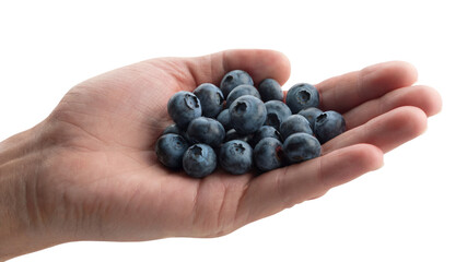 hand holding fresh juicy blueberries. Isolated on transparent background, png