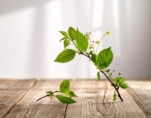 Spring Branch on Rustic Wood Fresh Green Leaves on an Old Wooden Table
