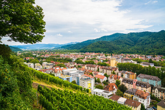 Germany, Freiburg im breisgau aerial panorama view above old town houses, red roofs and brewery buildings behind green vineyards, view to schauinsland mountain