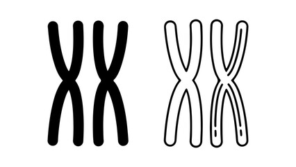 Female chromosomes xx with transparent background