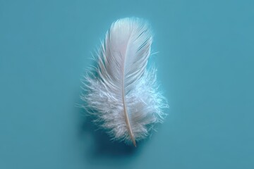 White Feather on Blue Background: Softness and Lightness