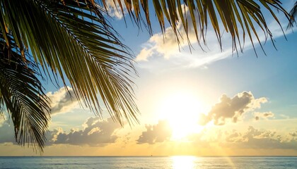 A sunlit scene of a tranquil ocean. Palm fronds frame the upper left corner against a bright sky, clouds, and the water's horizon