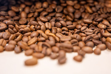 close-up of Arabica coffee beans