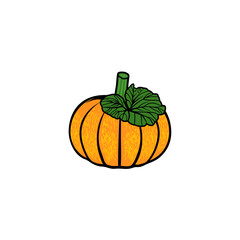 bright yellow pumpkin, yellow fruit vector illustration