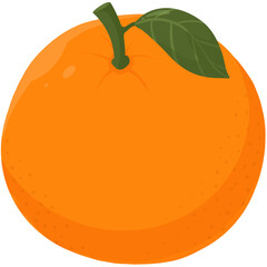 Orange fruit