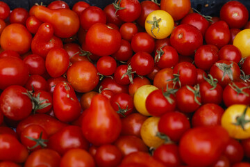 Fresh vegetables at small local urban market. Organic produce on sale at outdoor farmer market. Selling fresh crops and veggies harvest. European urban setting. Close up. Part of the series