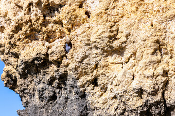 European Coastal Cliffs