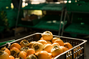 Fresh vegetables at small local urban market. Organic produce on sale at outdoor farmer market. Selling fresh crops and veggies harvest. European urban setting. Close up. Part of the series