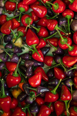 Fresh vegetables at small local urban market. Organic produce on sale at outdoor farmer market. Selling fresh crops and veggies harvest. European urban setting. Close up. Part of the series