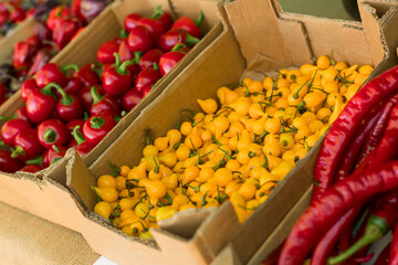 Fresh vegetables at small local urban market. Organic produce on sale at outdoor farmer market. Selling fresh crops and veggies harvest. European urban setting. Close up. Part of the series