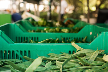 Fresh vegetables at small local urban market. Organic produce on sale at outdoor farmer market. Selling fresh crops and veggies harvest. European urban setting. Close up. Part of the series