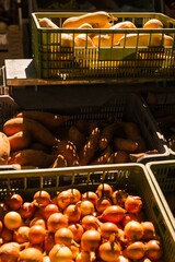 Fresh vegetables at small local urban market. Organic produce on sale at outdoor farmer market. Selling fresh crops and veggies harvest. European urban setting. Close up. Part of the series