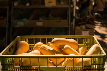 Fresh vegetables at small local urban market. Organic produce on sale at outdoor farmer market. Selling fresh crops and veggies harvest. European urban setting. Close up. Part of the series