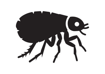 Flea icon, Flea solid vector