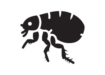 Flea icon, Flea solid vector