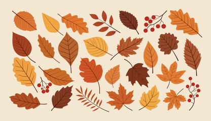 Fototapeta premium Colorful collection of various autumn leaves.