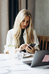 Young woman working on laptop in a cafe and drinking lemonade