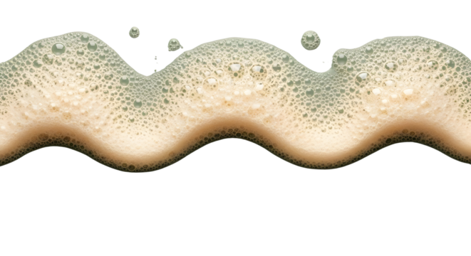 Abstract wavy foam border or decorative element with bubbles and suds texture isolated PNG with Transparent Background