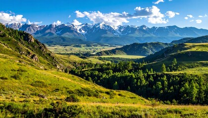 Obraz premium Verdant valley with snow-capped mountains under a blue sky dotted with white clouds on a sunny day