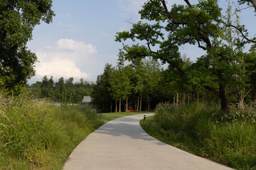 green pavement in the park , Xinglong Bookstore, Chengdu , China